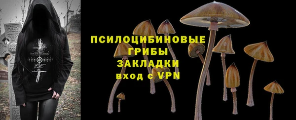 молекула духа Ладушкин