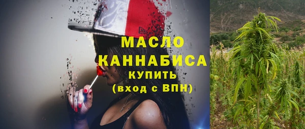 молекула духа Ладушкин