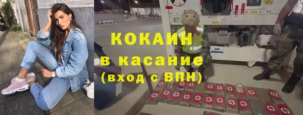молекула духа Ладушкин