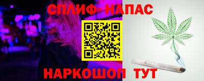2c-b Кингисепп