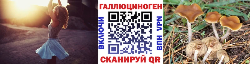 сколько стоит  Новокузнецк  Псилоцибиновые грибы мицелий 
