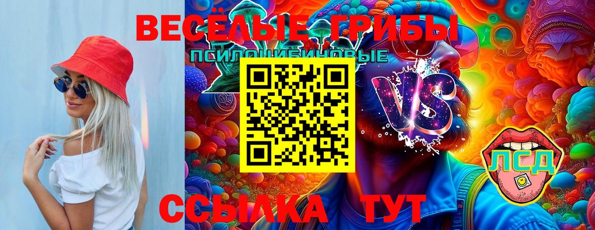 Псилоцибиновые грибы Magic Shrooms Новокузнецк